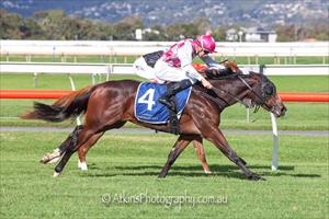 Chilled, Without Fear Stakes, Morphettville May 2023 Chilled, Without Fear Stakes, Morphettville May 2023
